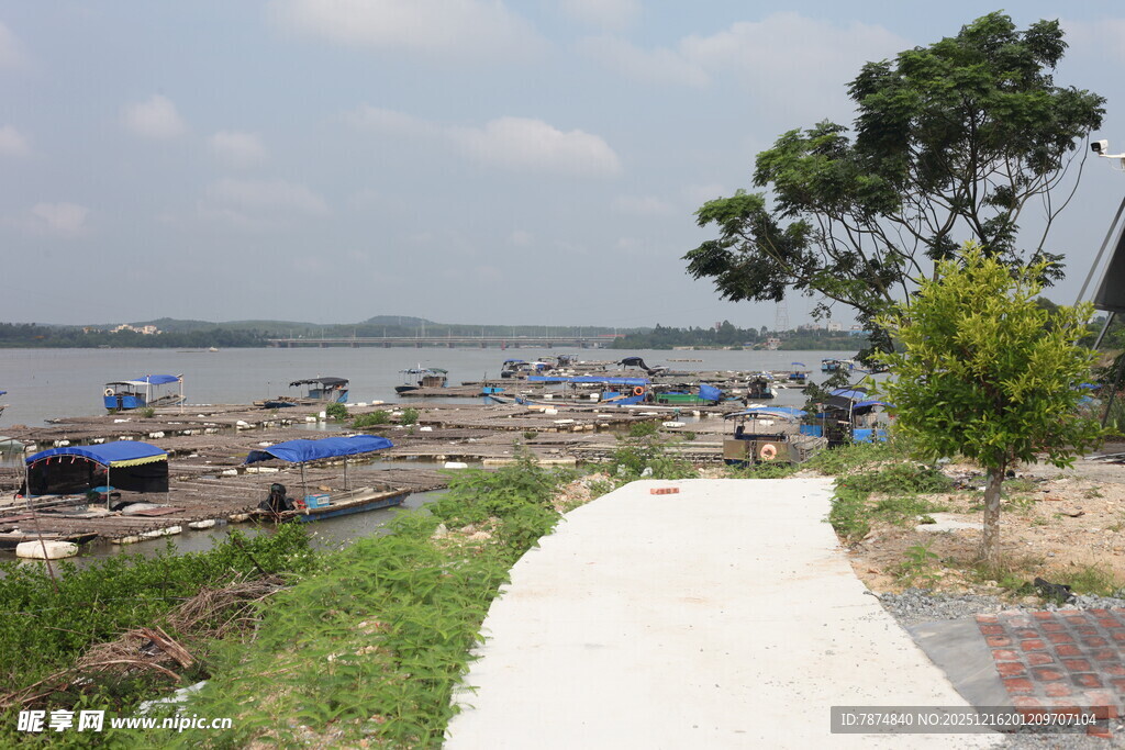 湖畔休闲场景宁静惬意