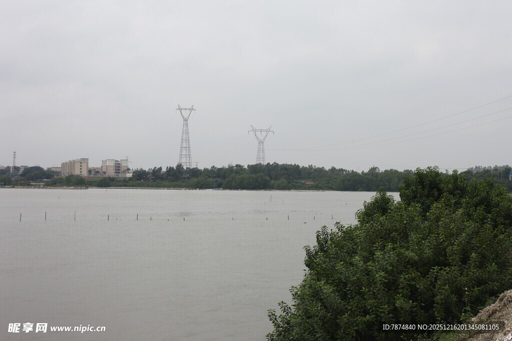 江边绿植与远处输电塔景观