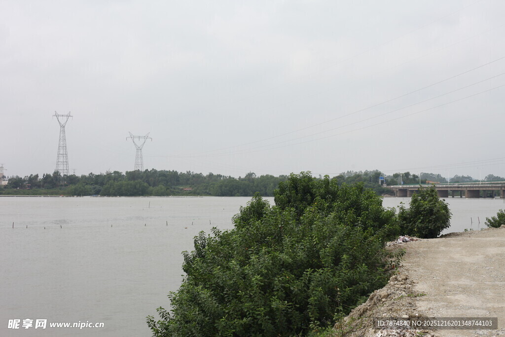 江边绿树与远处输电塔