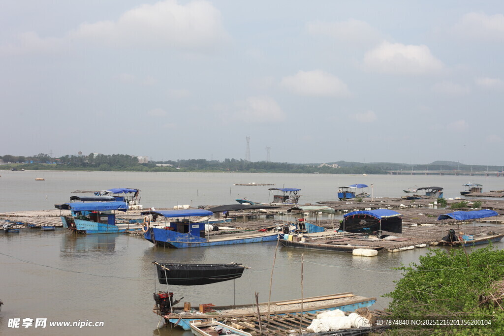江边停泊的多彩船只