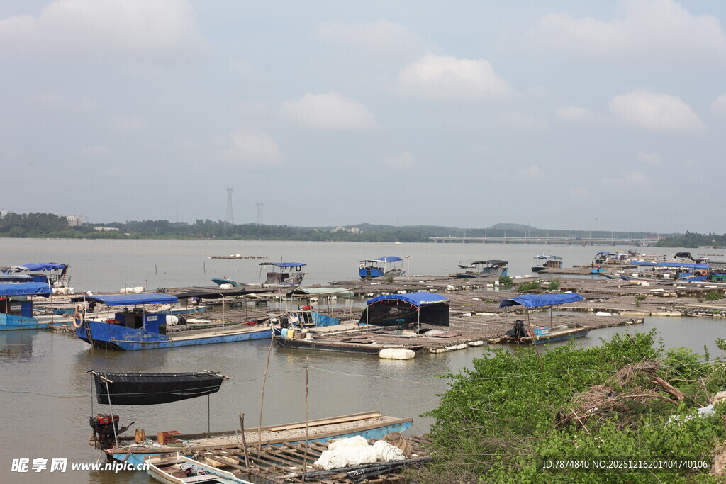 江边停泊的多彩渔船