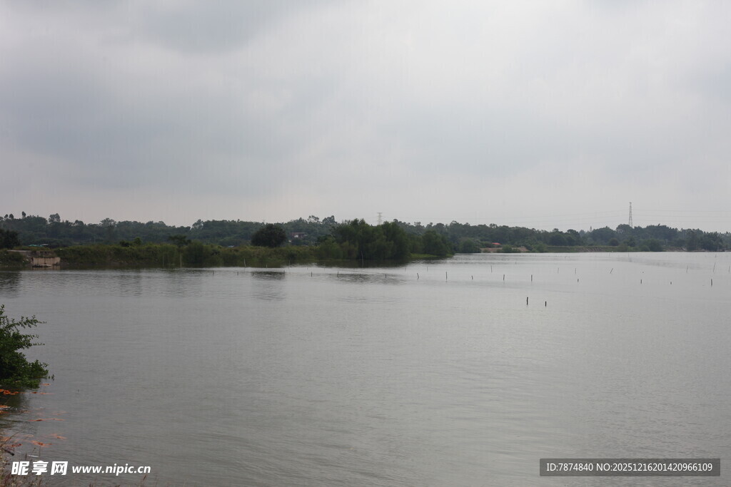 宁静湖面与远处植被景观