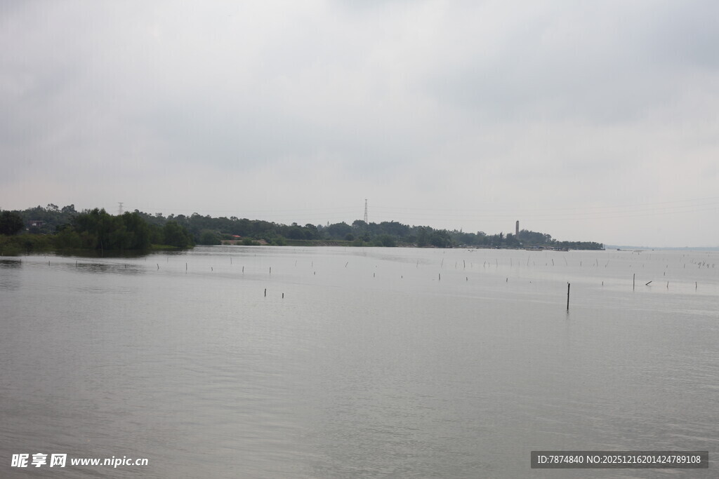 宁静湖面与远处岸边景致