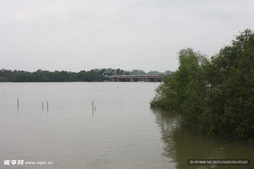 河畔绿树环绕的宁静水域