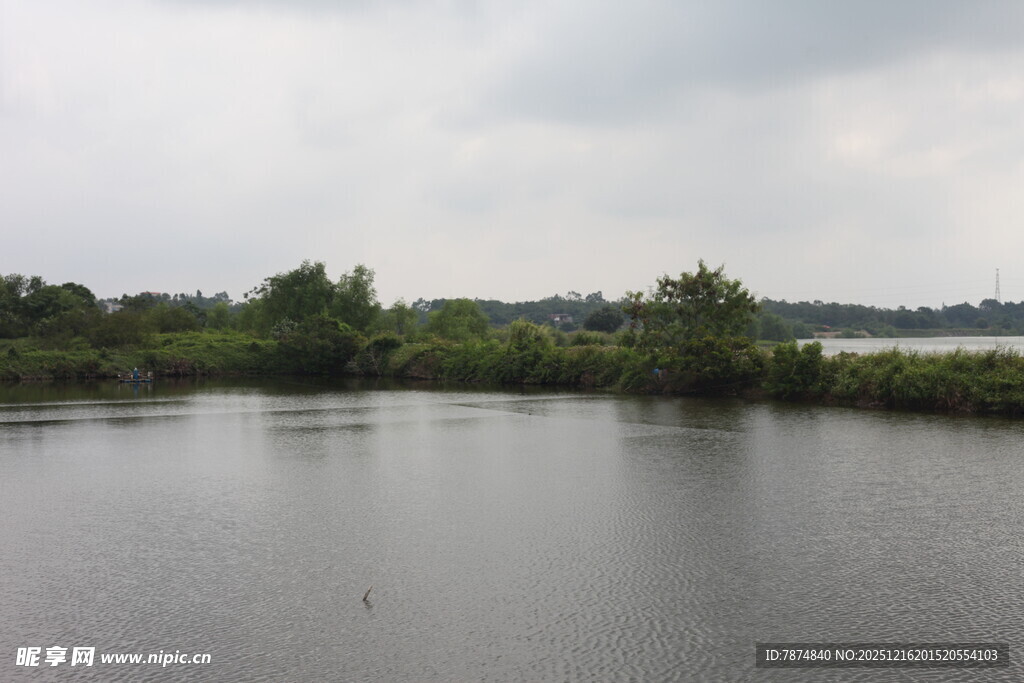 宁静湖泊与岸边绿植景观