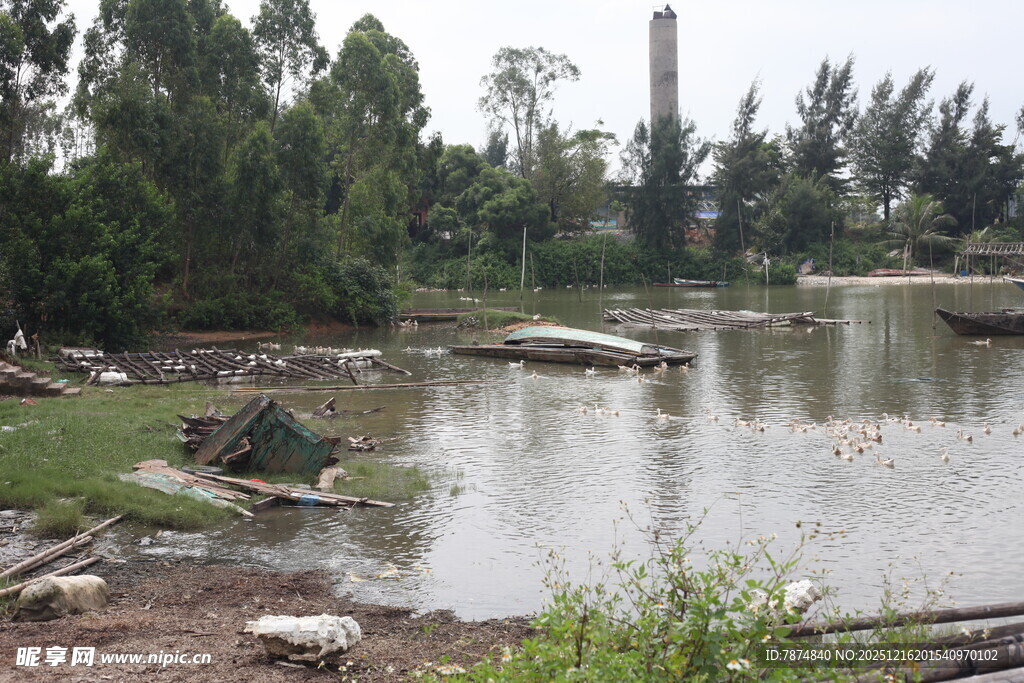 乡村池塘边的自然景致