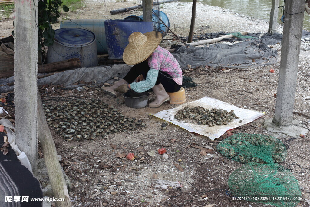 农妇在林间专注劳作