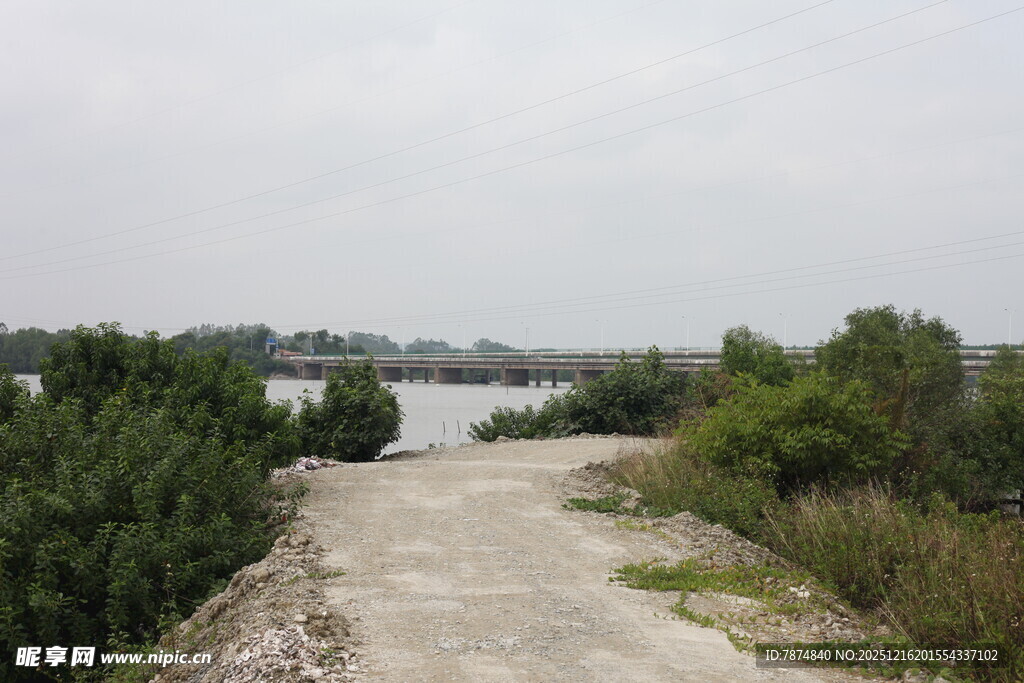 乡间土路旁的葱郁河岸