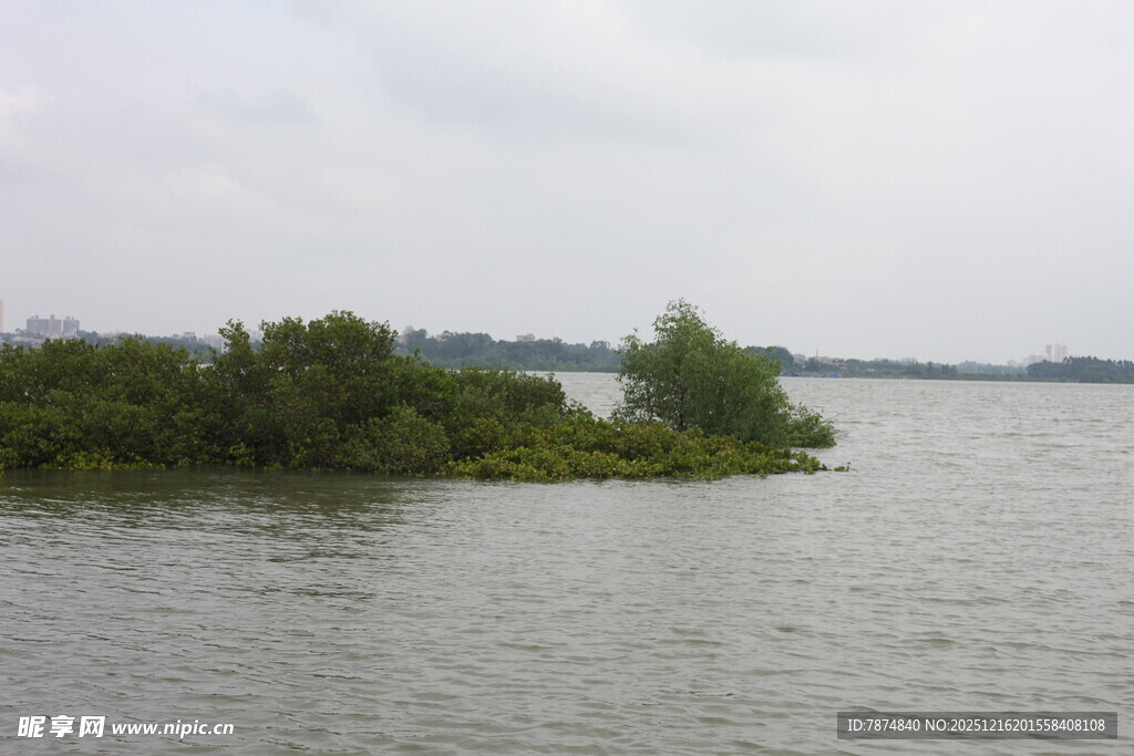 湖中小岛绿意盎然
