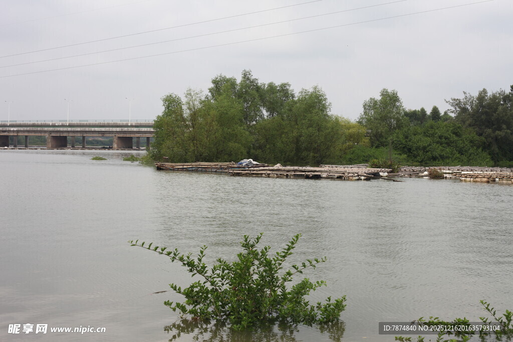 河畔绿植与远处建筑景观