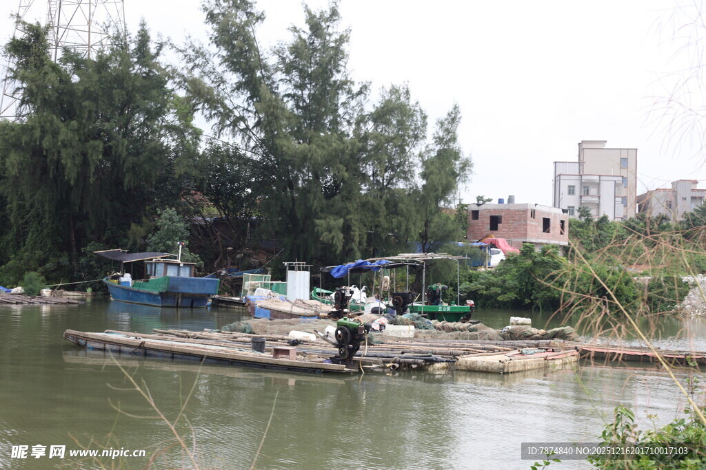 水乡小船人家的宁静画面