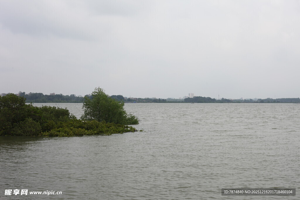 湖畔绿意宁静水域风光