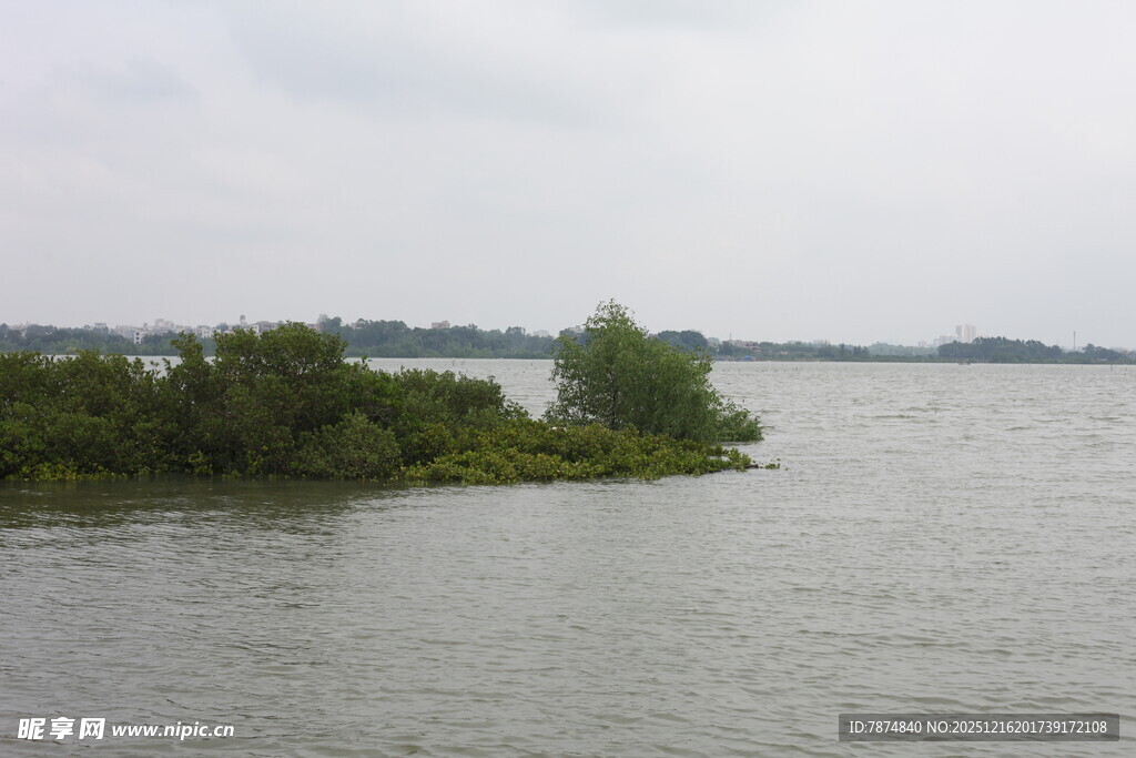 湖畔绿意盎然的宁静水域