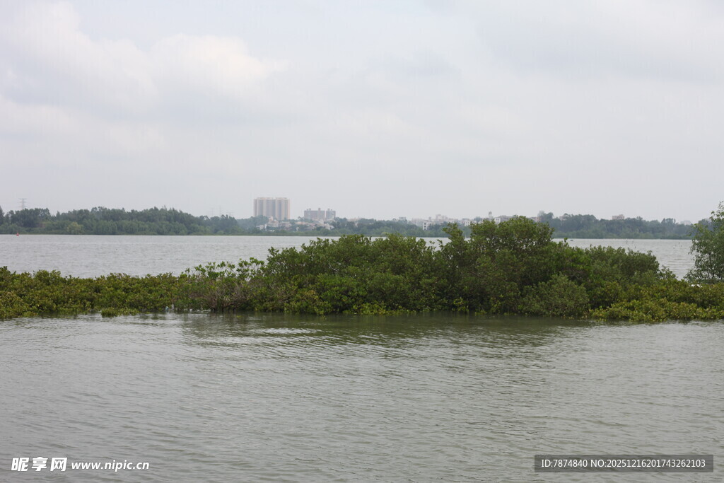 水域中的绿意小岛