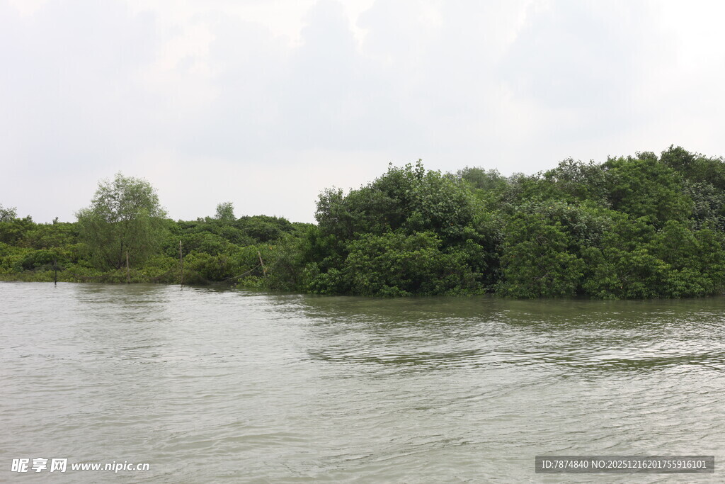 河畔绿意盎然的自然景致