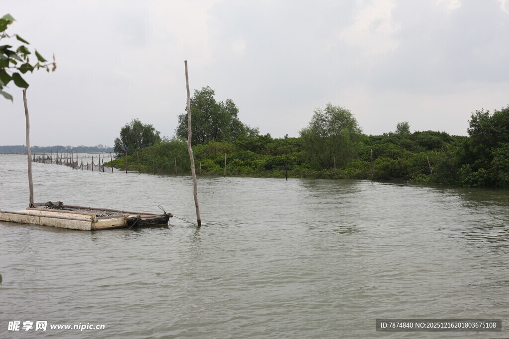 宁静河畔的简易木质码头