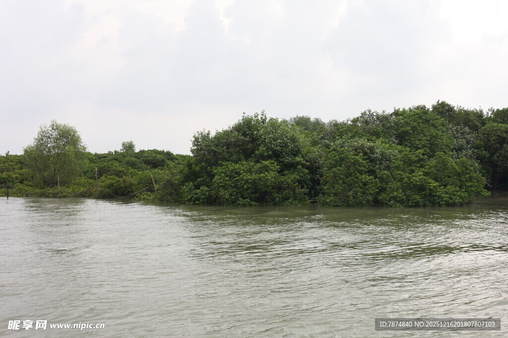 河畔葱郁绿植景观