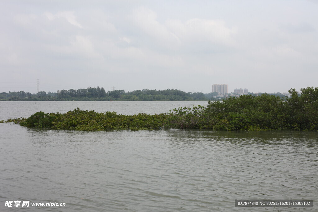河畔绿植点缀的宁静水域