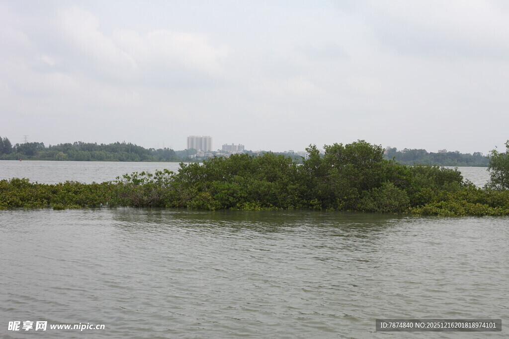水域中的绿植小岛