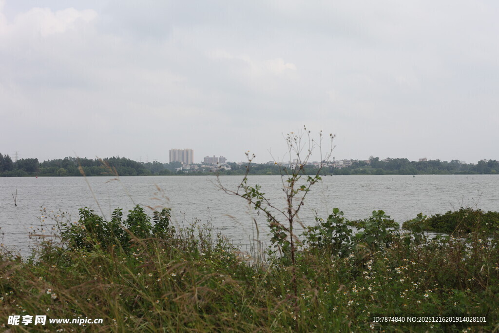 湖畔风光绿植与远处景致