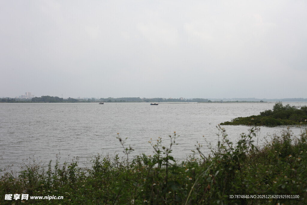 湖畔景致草木与水域风光