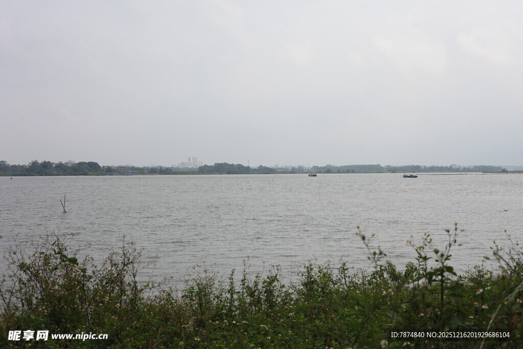 湖畔风光水草与辽阔水域