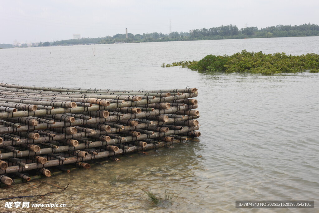 水边的木质栈桥式结构