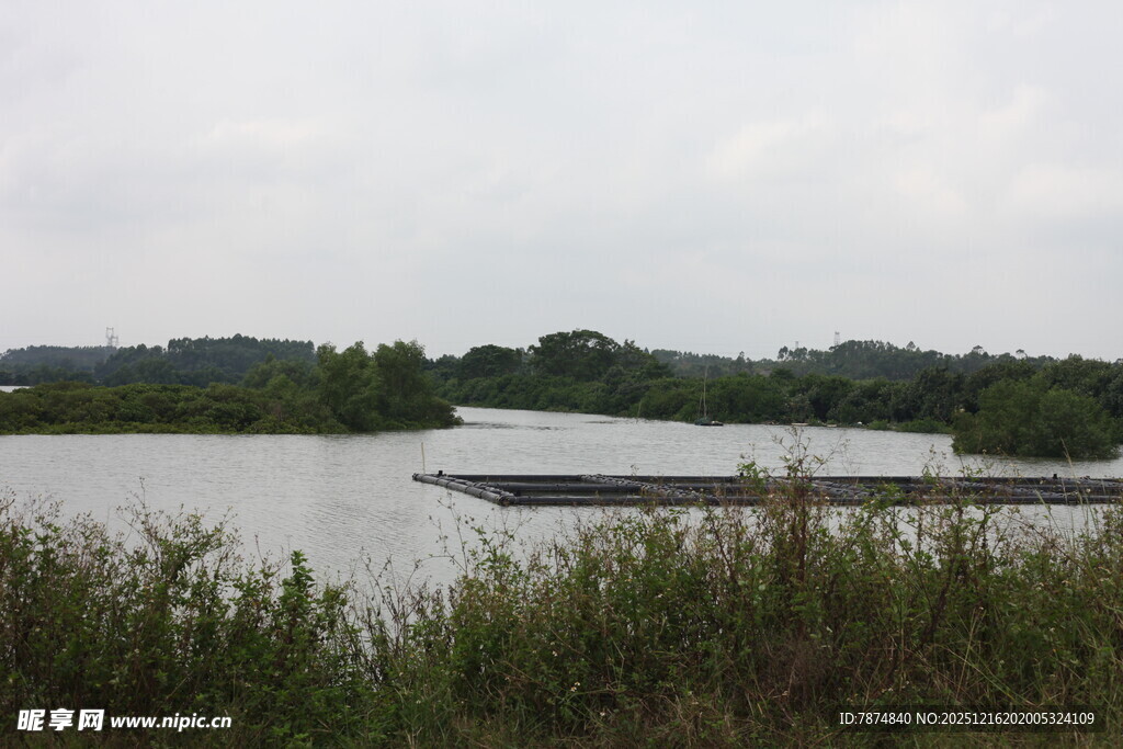 湖畔风光宁静水域景色