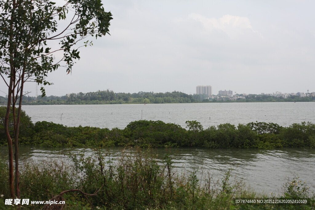湖畔绿植环绕的自然景致