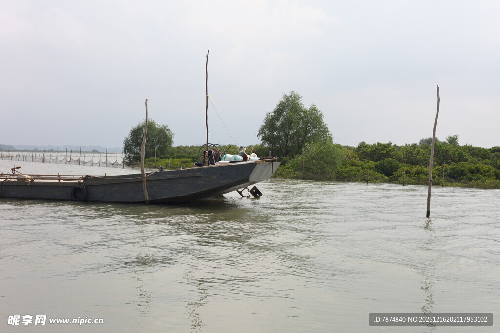 河上停泊的船只
