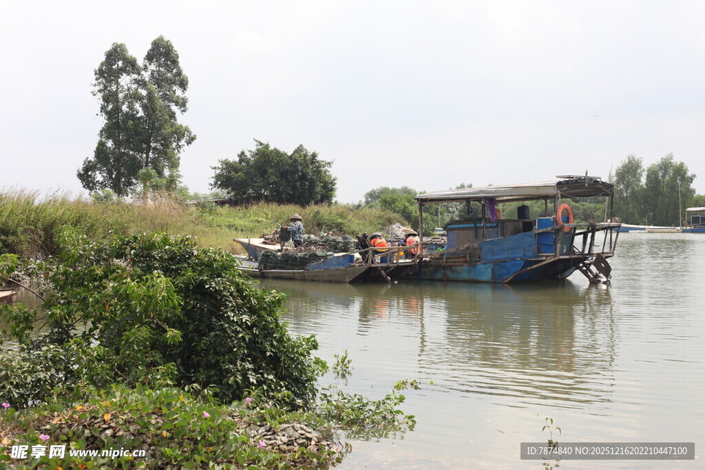 河上停泊的船只与绿植