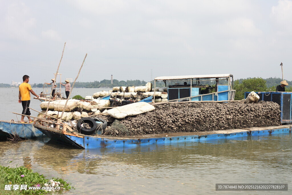 水上运货船满载货物
