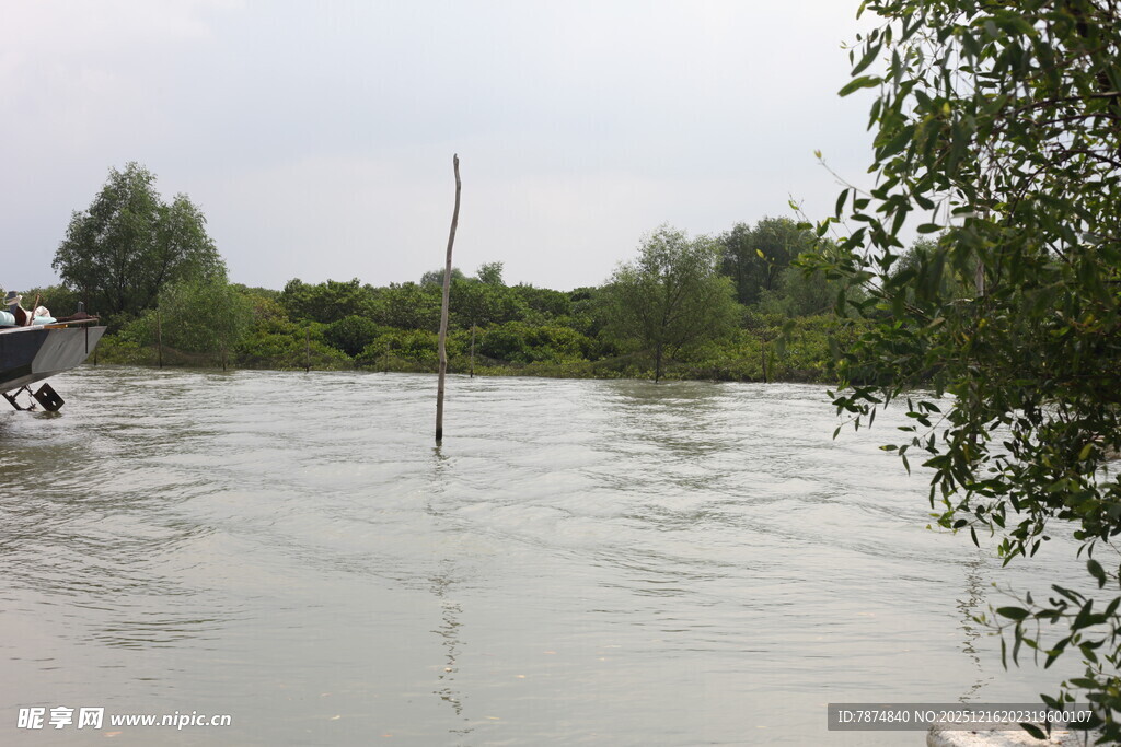 洪水淹没区域景象
