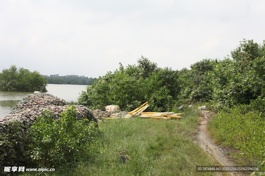 郊外小径旁的自然风景