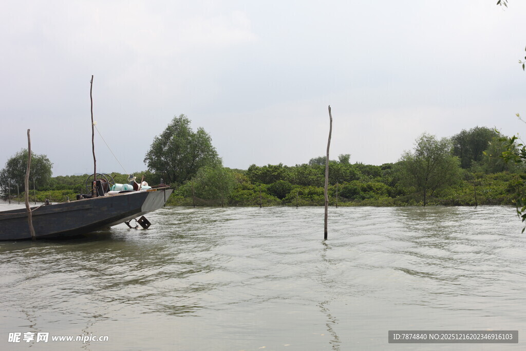 水域中的船只与岸边植被