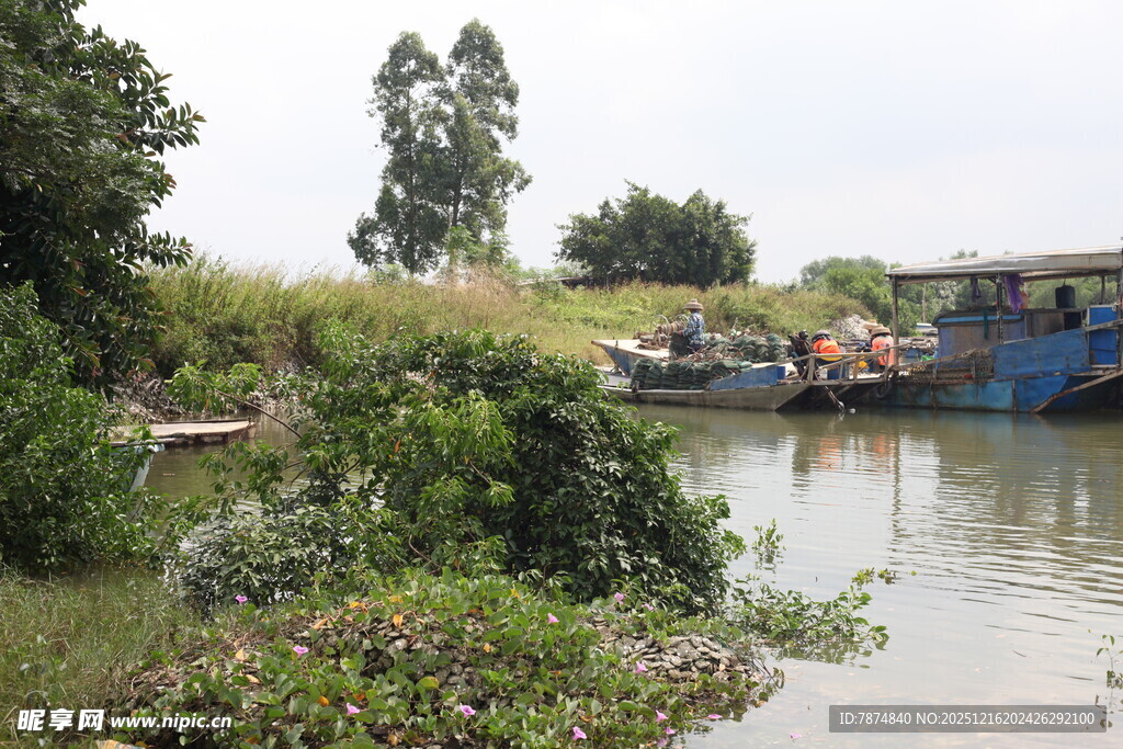 河边停泊船只与繁茂植被