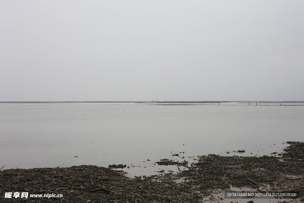 海边滩涂景象