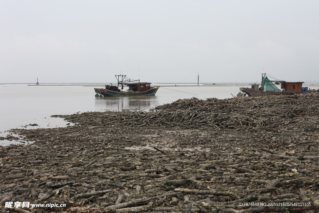 岸边停泊的几艘船只