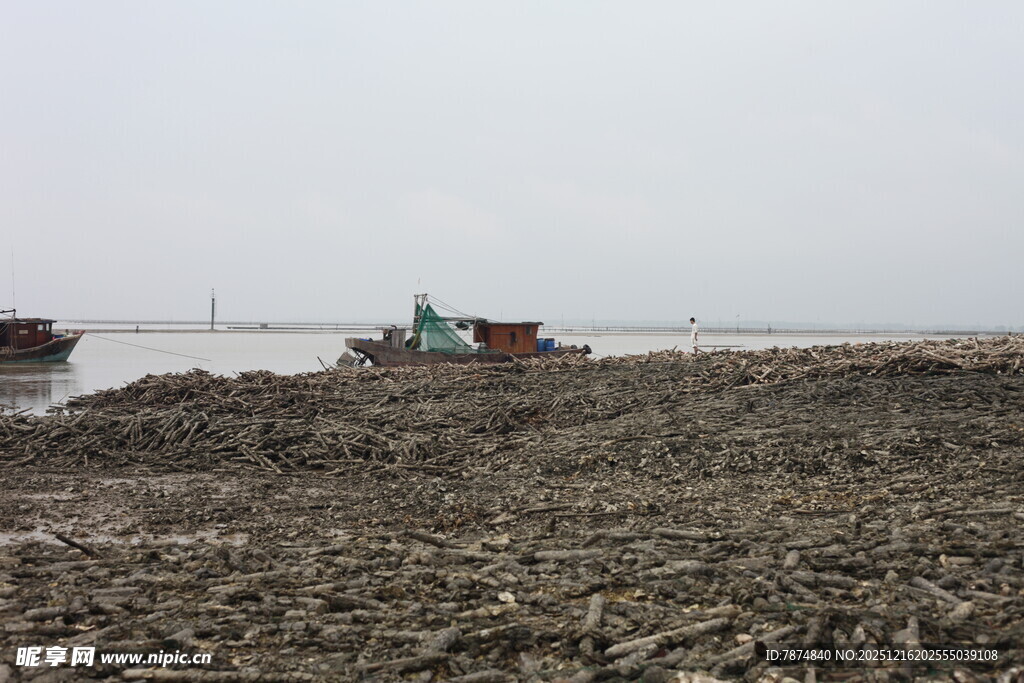 河岸船只与荒芜滩涂景象