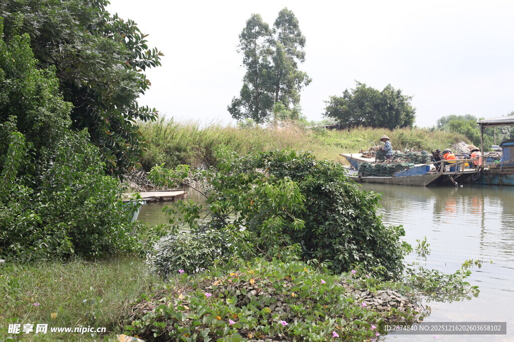 河畔绿植与停泊船只
