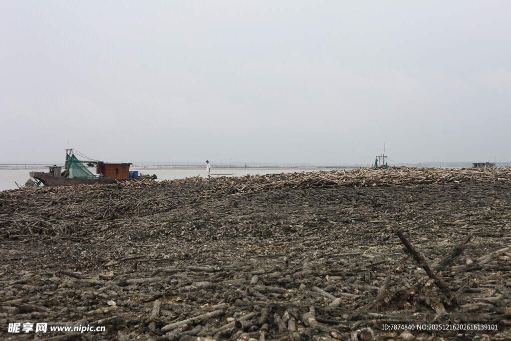 农田里的农机作业场景