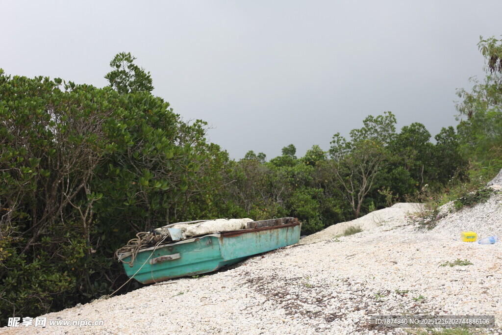 河边树林中的蓝绿色水域