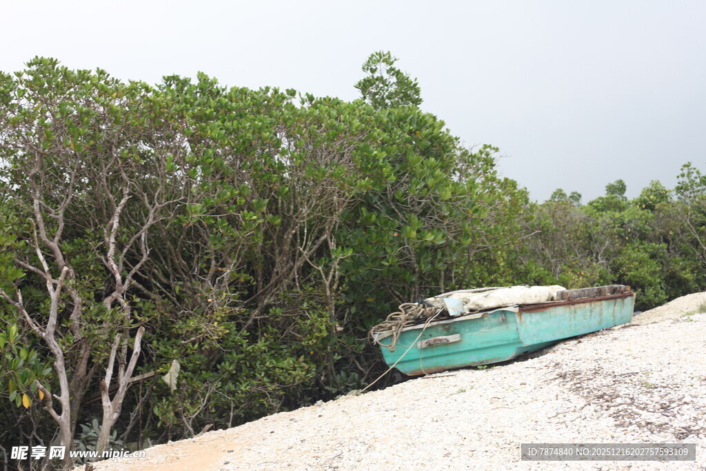 岸边绿树旁的旧蓝船