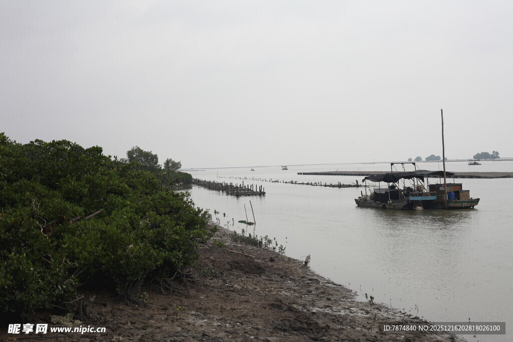 岸边停泊的船只与绿植