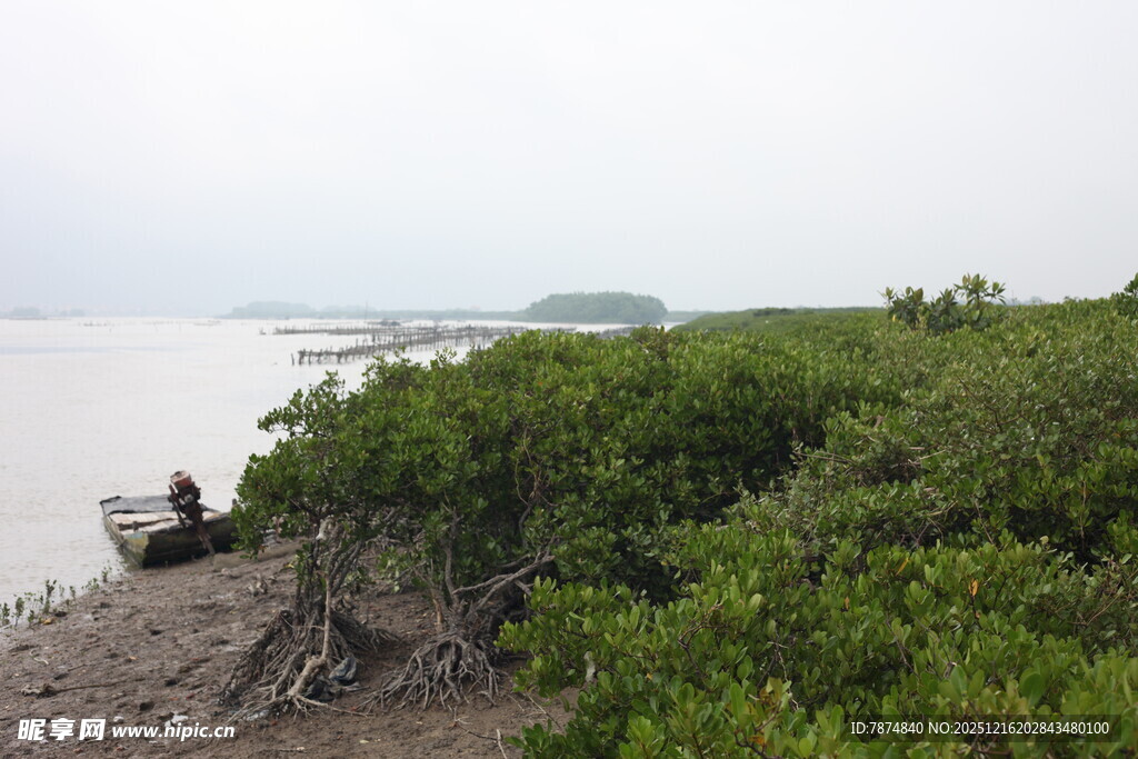 岸边绿植旁的独坐之人