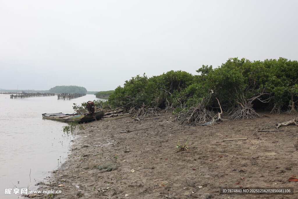 岸边绿植与小船
