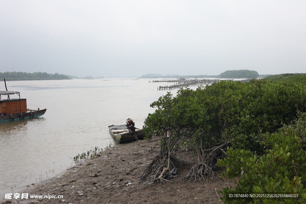 河岸停泊船只与繁茂植被