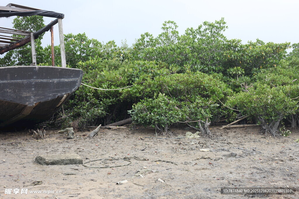 岸边停泊的老旧船只