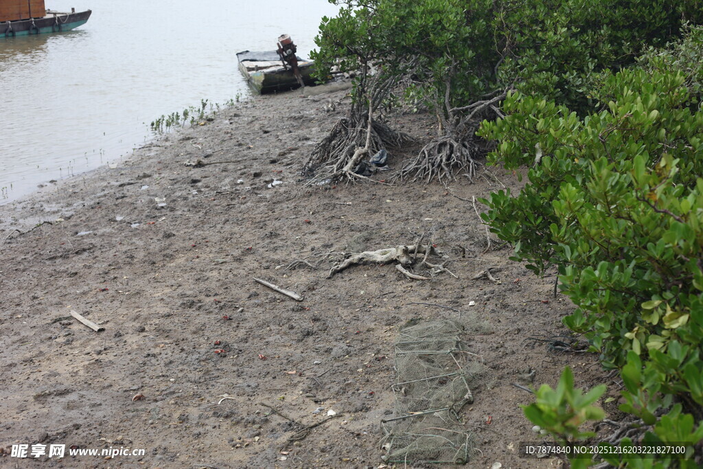 岸边植被与停泊小船景象