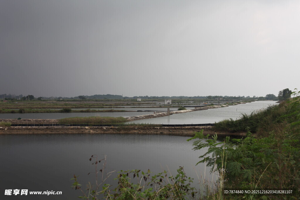 雨中河畔风景